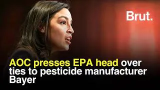 Thumbnail: AOC presses EPA head over ties to pesticide manufacturer Bayer