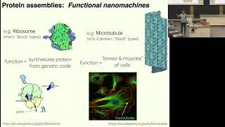 Thumbnail: G. Grason, Public Lecture