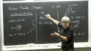 Thumbnail: C. Marchetti - Active Fluids I (BSS 2026)