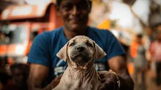 Thumbnail: India Changed How I See Photography | Leica Q3 43