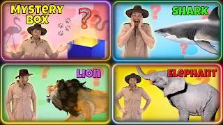 Thumbnail: Animal Mystery Box Challenge with Explorer Riley! Watch Out for the Shark! 🦈