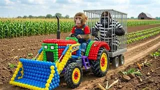 Thumbnail: Music Video Monkey Nana and JCB Tractor Excavator  to Harvest Oranges and Catch a Sneaky Thief