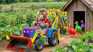 Thumbnail: Music Video Monkey Rebuilds the Duck House After a Shocking Escape! JCB 3cx Tractor Excavator MONKEY