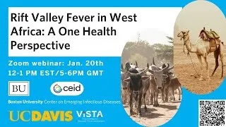 Thumbnail: Rift Valley Fever in West Africa: A One Health Perspective