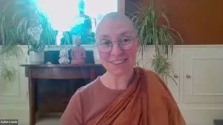 Thumbnail: From Brawling Monks to Right View and Inspiration (MN 48) | Ajahn Canda | 3rd July 2026