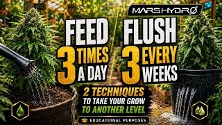 Thumbnail: 2 Grow Techniques That Can Change Everything