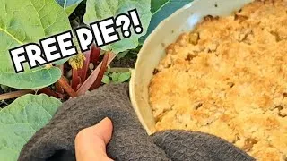 Thumbnail: Easy Rhubarb Pie (Swedish Crumble) – Cheap, Simple & Tastes Like Summer