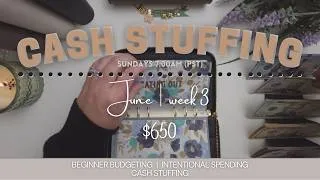 Thumbnail: CASH STUFFING ENVELOPES $650 | June Week 3 | DEBT FREE JOURNEY
