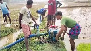 Thumbnail: Going To Starting A 4Hp China Diesel Engine || Watering A Summer Season Rice Field Preparation