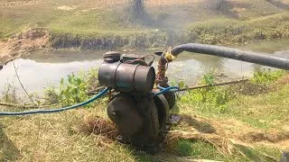 Thumbnail: Usha Old 5hp Diesel Engine water pump || Pani wala Diesel Engine || Watering in Vegetable 🥒🥒 Farming
