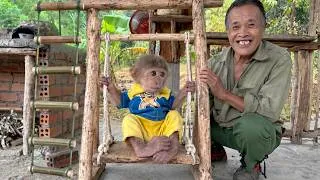 Thumbnail: Too cute ! Grandpa Forest Cuts Bamboo to Make Swing  & Toys for Baby Monkey Buem