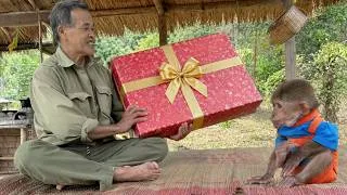 Thumbnail: Baby Monkey BuEm Gets Big Surprise Gift from Grandpa Forest | Sweet & Adorable ❤️