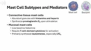 Thumbnail: Uveitis Chapter 1: Effector Cells and the Innate Immune Response