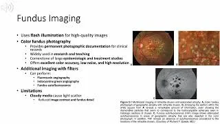 Thumbnail: Retina Chapter 2: Diagnostics