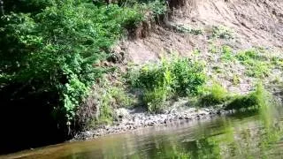 Thumbnail: Rifle River Kayaking - Trip 3