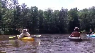 Thumbnail: Muskegon River Kayaking - Trip 2