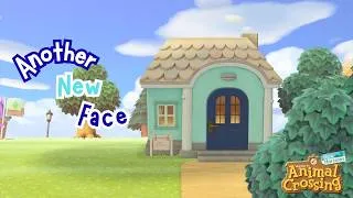 Thumbnail: This villager gave me so many new ideas! | Animal Crossing New Horizons Cozy Let's Play