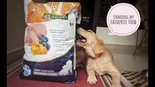 Thumbnail: Unboxing her favourite food - Golden retriever puppy