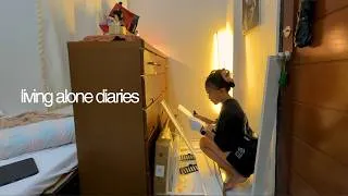 Thumbnail: living alone diaries | Making my little loft apartment cozy, a raw grocery run and slow days