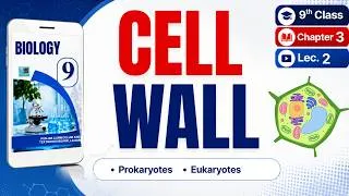 Thumbnail: Cell Wall | Structure and Functions | Class 9 Biology | Chapter 3 Cell