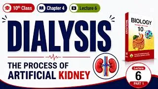 Thumbnail: Kidney Failure | Dialysis | Kidney Transplantation | Class 10th Biology | Chapter 4