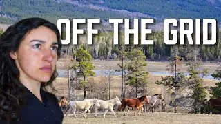 Thumbnail: Off-Grid Ranch • Catching My Own Wild Horse