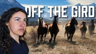 Thumbnail: Off-Grid Ranch • Catching Wild Horses 