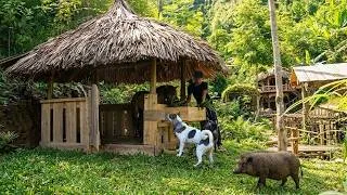 Thumbnail: Building a Horse Stable at My Forest Farm | Night Crab Hunting in the Stream & Cooking.