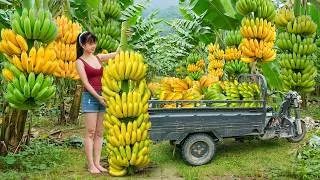 Thumbnail: TIMELAPSE --313 Days Harvesting Bananas With A Three-Wheeler To Sell At The Market