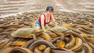 Thumbnail: TIMELAPSE --233 Days Of Catching Turtles And Eels From Muddy Ponds To Sell At The Local Market