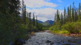 Thumbnail: Canadá, Teslin, Yukón.