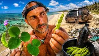 Thumbnail: Eating Bush Tucker in Paradise: A Dangerous Mistake?