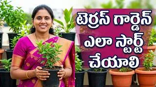 Thumbnail: Low Cost Organic Farming |Terrace Gardening in Telugu | ఇంటి పైకప్పుపై కూరగాయల సాగు పూర్తి గైడ్