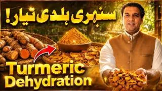 Thumbnail: Most Profitable Food Processing Business in Pakistan? Turmeric Powder Setup