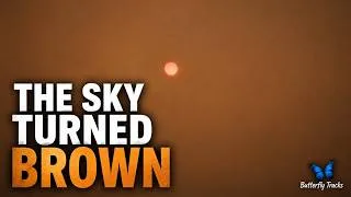 Thumbnail: 🦋 The Sky Turned Brown. We Had to Stop.
