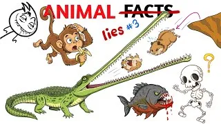 Thumbnail: Animal Lies And Myths That You Actually Believe - Part 3