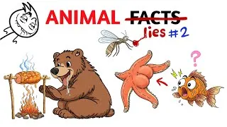 Thumbnail: Animal Lies And Myths That You Actually Believe - Part 2