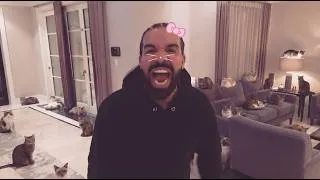 Thumbnail: What If Drake Survived the Cat Apocalypse? (AI Meme)