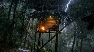 Thumbnail: Solo Bushcraft: Warm Treehouse Shelter in Heavy Rain & Thunderstorm (ASMR)