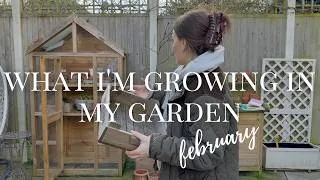 Thumbnail: lets sow some february seeds | vegetable growing & garden update | ByEmmaLouise