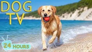 Thumbnail: DOG TV: Best Videos to Keep Dogs Entertained & Stress-Free All Day - Happy Music for Dogs