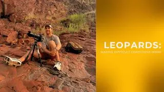Thumbnail: How to Photograph Leopards | 5 Common Problems and How to Solve Them