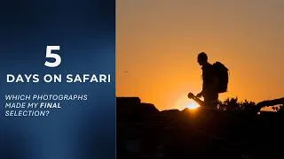 Thumbnail: 5 Days on Safari: Which Photographs Made My Final Selection?