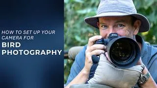 Thumbnail: Bird Photography Camera Settings | 6 Tips to Improve Your Hit Rate