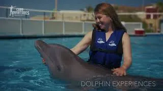 Thumbnail: Swim with Dolphins in Cabo San Lucas 🐬 | Certified Dolphin Encounter in Mexico