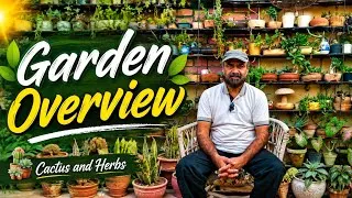 Thumbnail: Garden Overview 2026 | My Beautiful Cactus & Herbs Garden Tour 🌵🌱
