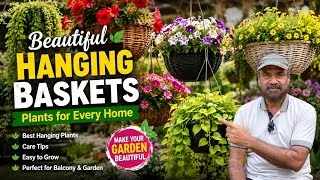 Thumbnail: Beautiful Hanging Baskets Plants 🌿🌸 | Best Hanging Plants for Home & Garden | Easy Care Tips