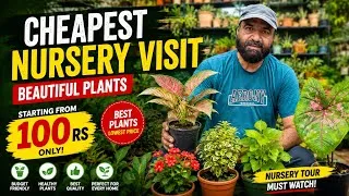 Thumbnail: Cheapest Nursery Visit 🌱 Plants Starting at Just Rs 100! | Best Plants at Low Prices