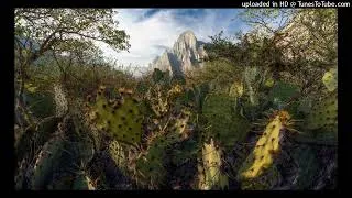 Thumbnail: Feller And Hill - The First Million Years