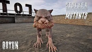 Thumbnail: STALKER 2 Bayun Mutant Cat NPC Model View (Free Camera Up Close)